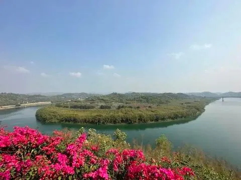 640_wx_fmt=jpeg&from=appmsg&tp=webp&wxfrom=10005&wx_lazy=1 (3)_看圖王.jpg